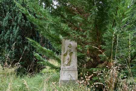Image 37